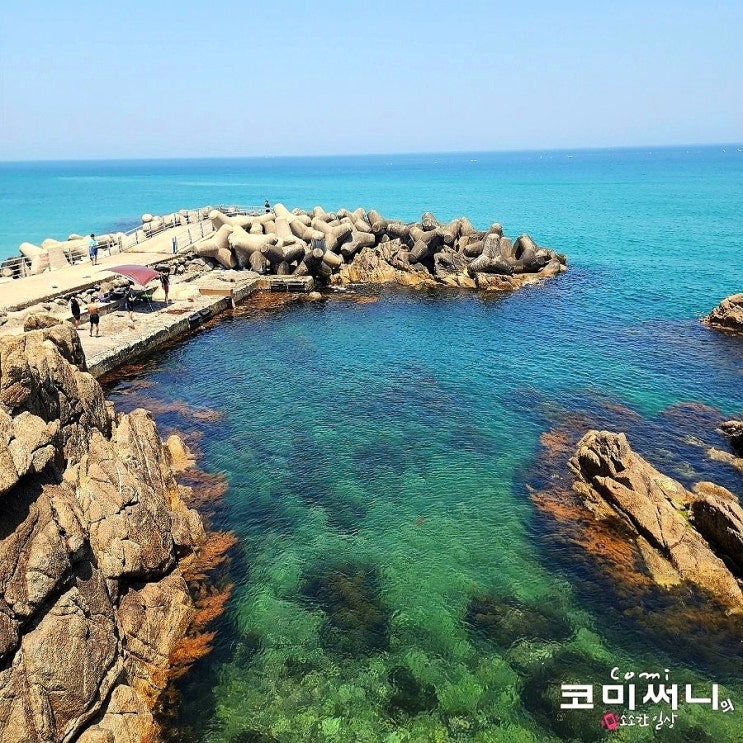  강원도 여름 물놀이 양양 하조대 전망대 스노클링 스팟 물놀이 최적의 장소