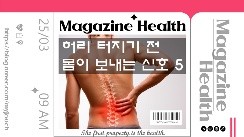 허리디스크 전조증상 5가지 미리 알아보고 대처하자