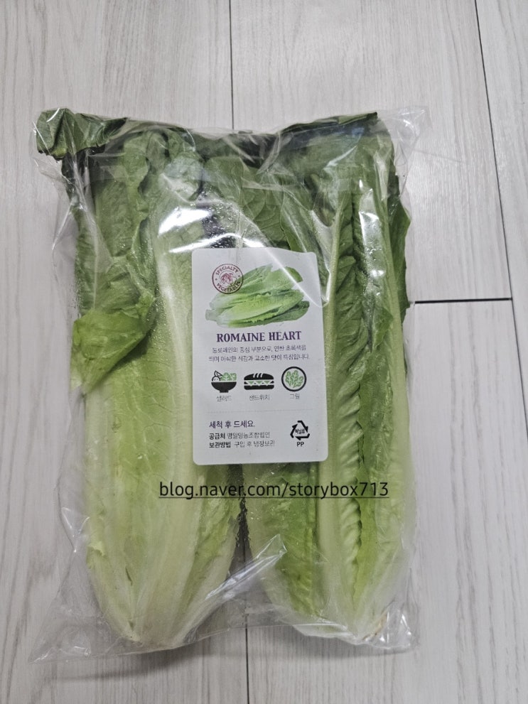  아이도 잘 먹는 상추 샐러드 3가지( 올리브오일 없이 가능)