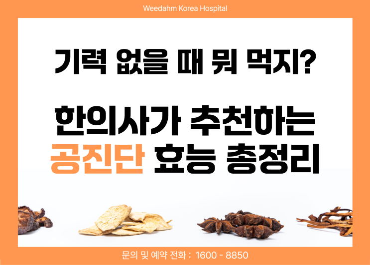  공진단 효능부터 복용법까지, 기력저하에 꼭 필요한 정보