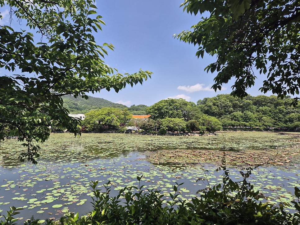 한돈참숯꼬기 아포점 사진 1
