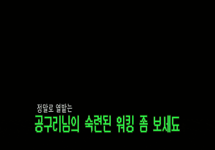  오 나의 친구 공구리 엔젤 | 둘이서 코코넛과 펌킨 굴린 사연 | 로블록스 그로우어가든 5탄