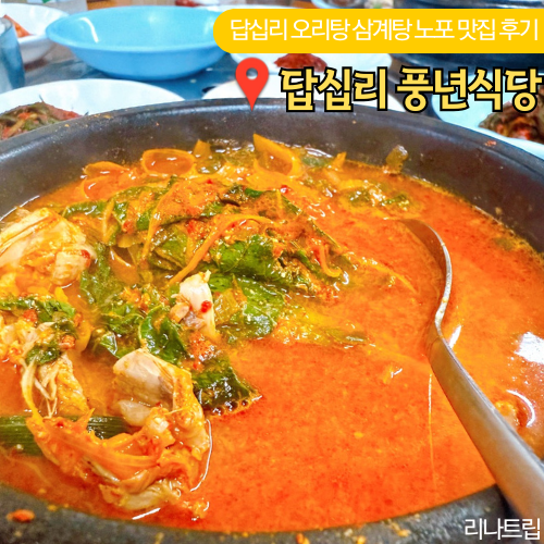  서울 답십리맛집 사거리 풍년식당 삼계탕 오리탕 점심 아이와 후기