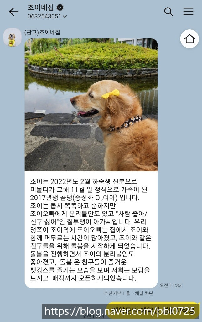 사진 8