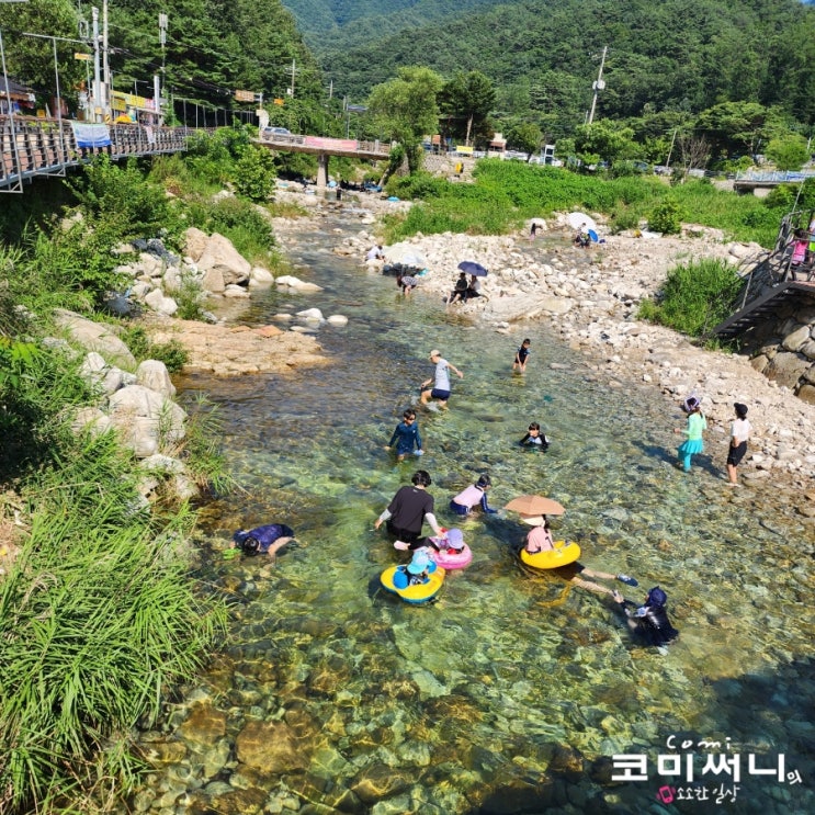  [서울 근교 계곡 물놀이] 포천 백운계곡 중앙데크광장 무료 테이블 당일치기 물놀이