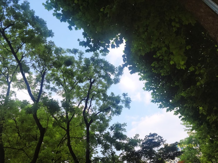 <b>온열질환</b> 일사병과 열사병의 차이, <b>폭염</b>과 폭우 극단적인... 