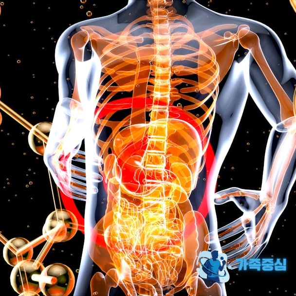  척추관협착증 증상, 통증 원인과 회복 가능한 운동법 (정선근 교수의 백년허리에서 답을 찾아보자)