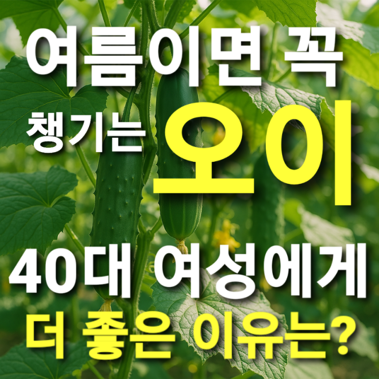  여름이면 꼭 챙기는 오이, 40대 여성에게 더 좋은 이유는?