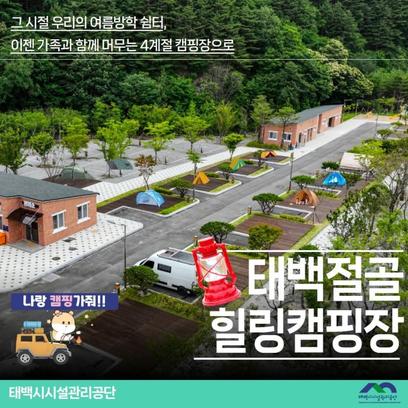 태백 절골 힐링캠핑장 - 사계절 청정 숲 캠핑! (개별 데크, 편의시설 완비) 절곡계곡 자리에 ....