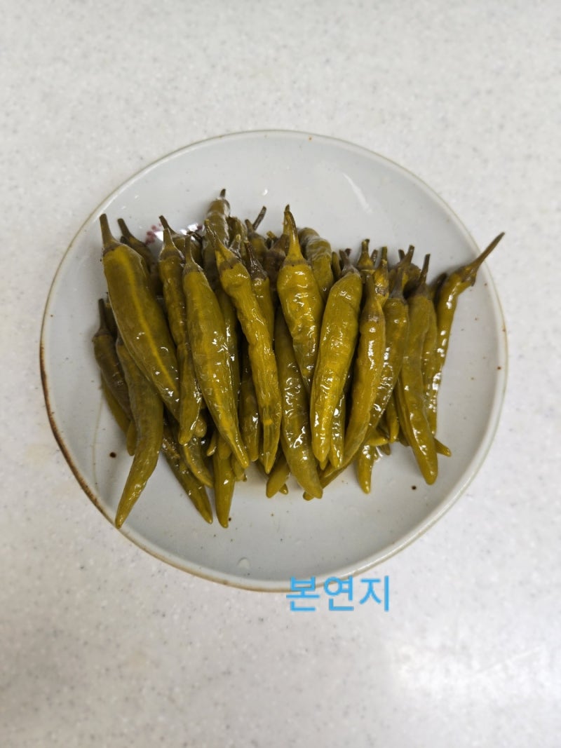 소금물에 청양고추 삭히는 법 고추 삭히기