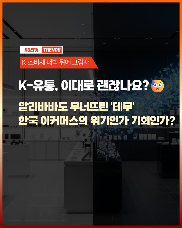 알리바바도 무너뜨린'<b>테무</b>' 한국 이커머스의 위기인가... 