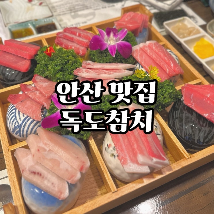  #내돈내산 안산 맛집 독도참치 후기 (코스구성/맛/가성비)