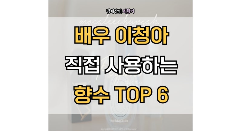 이청아 배우가 직접 쓰는 남성, 중성 향수 TOP 6 추천 리스트