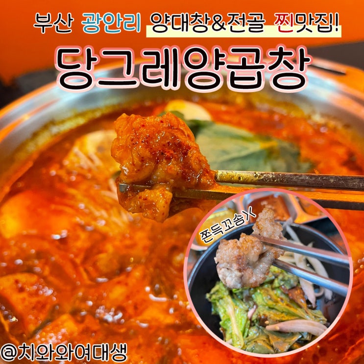  부산 광안리 곱창 맛집 당그레양곱창 데이트