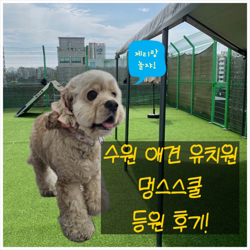 사진 10