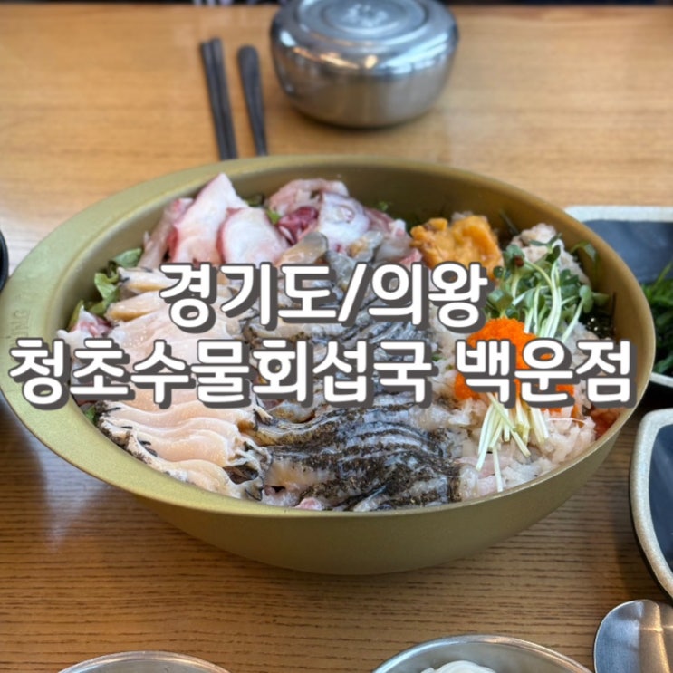  의왕 백운호수 맛집 청초수물회 의왕 내돈내산 후기 feat.웨이팅 주차 포장 정보
