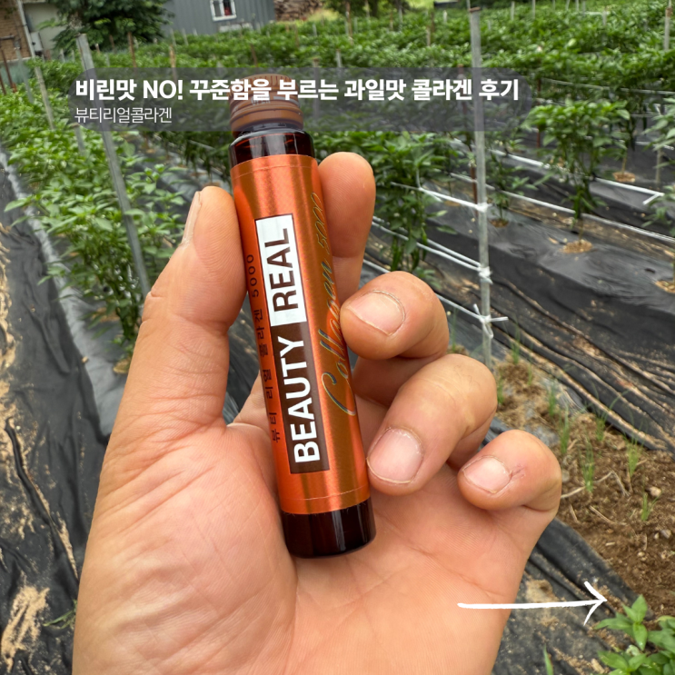  먹는 콜라겐 추천, 경험으로 느낀 솔직 후기와 선택 기준
