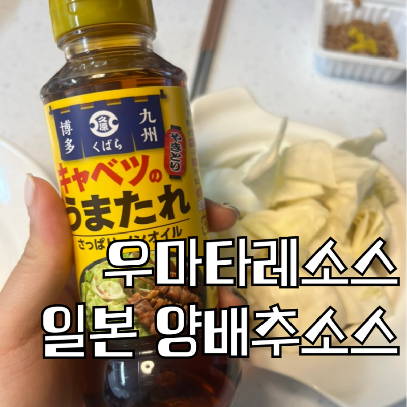 우마타레소스 돈키호테 양배추 소스 쿠바라