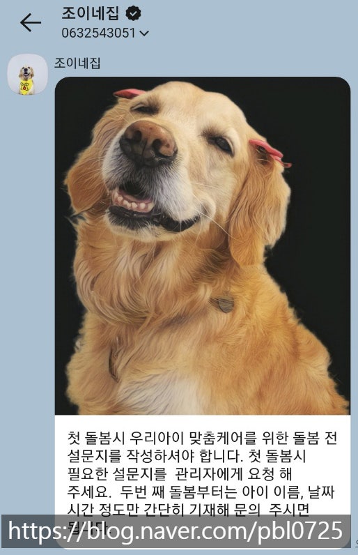 사진 9