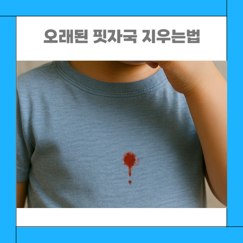이불 오래된 핏자국 지우기 피묻은 옷 지우는법
