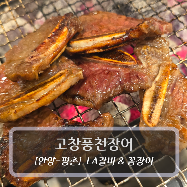  안양 평촌역 LA갈비 맛집 :: 고창풍천장어 - 가족외식 회식장소 추천