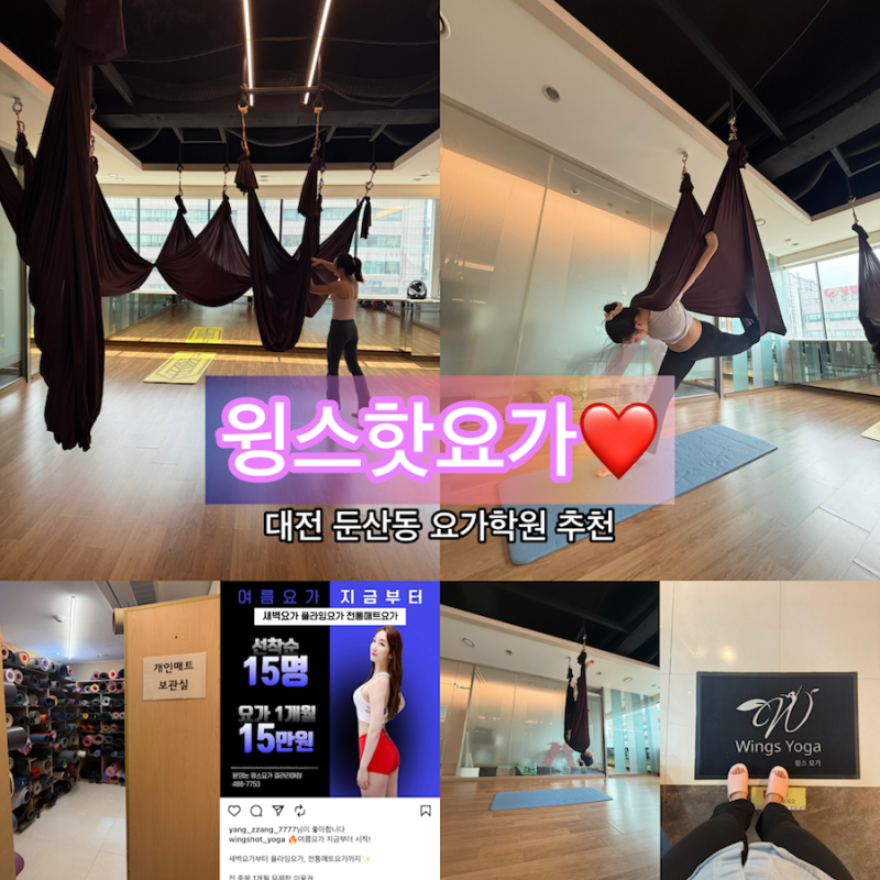 윙스핫 요가 대전 최초 플라잉요가 학원 둔산동새벽요가 찾는 분들에게 추천