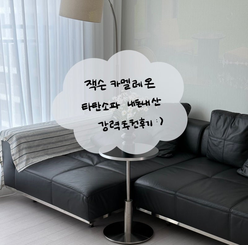 무브먼트랩 : 잭슨카멜레온 타탄소파 구매후기 - 블랙가죽소파