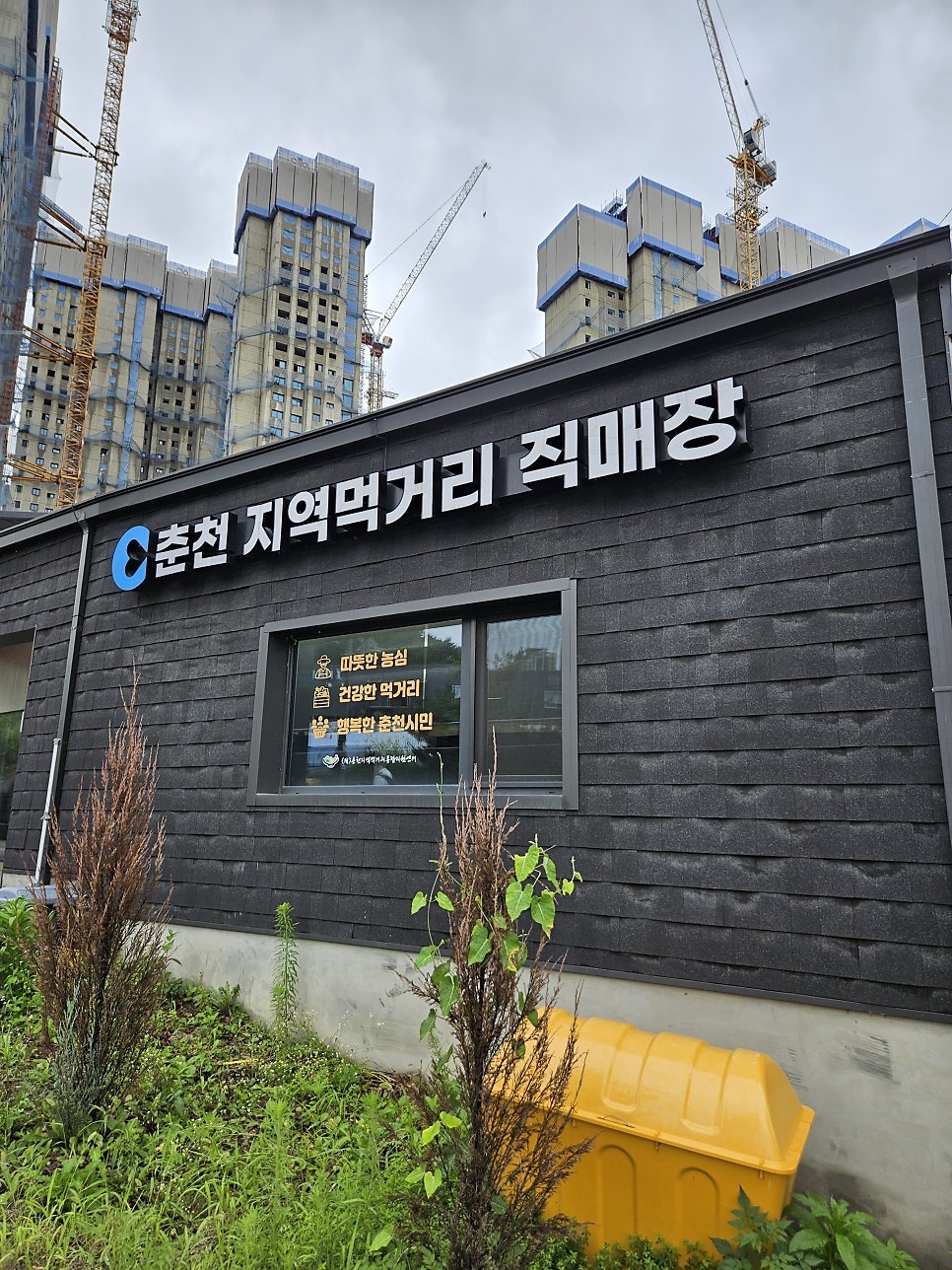 거두촌두부 사진 4
