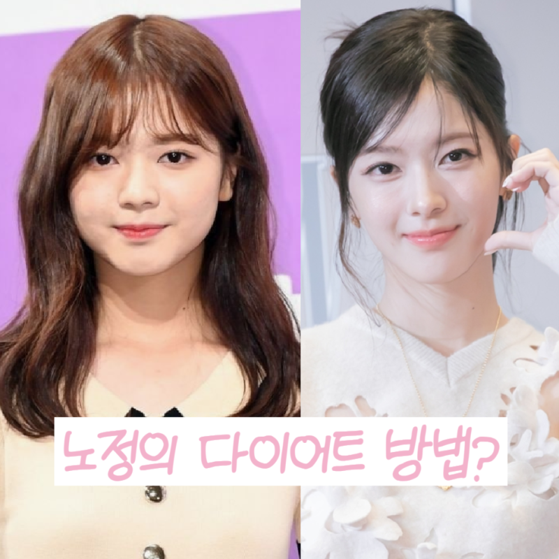 노정의 다이어트 방법. 운동, 식단으로 건강하게 체중 감량