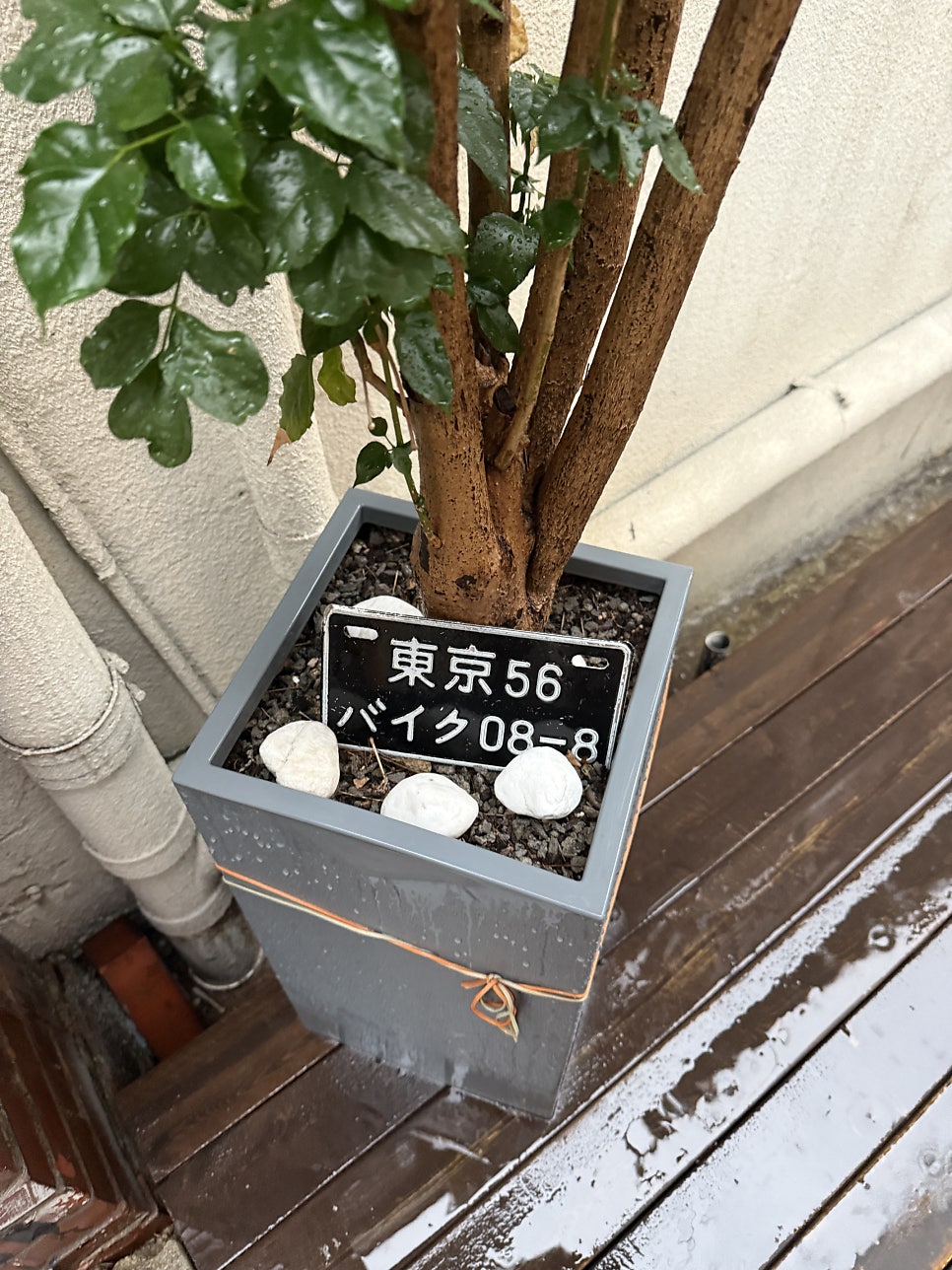 산쪼메 서래본점 본관 사진 5