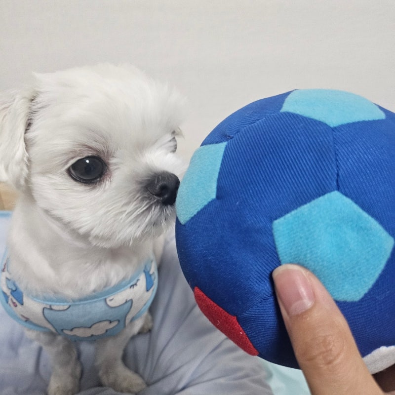 이케아 반려동물 용품 축구공 장난감 사보세요