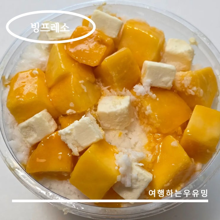  집에서도 그대로 맛보는 포장 빙수! 빙프레소 양재점