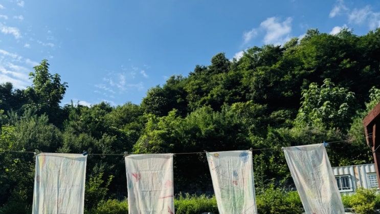 "햇살아래 여름캠프, 신나는 하루!"