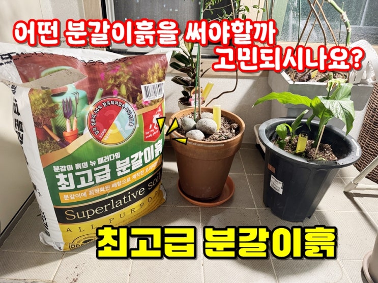  화분 분갈이 초보자도 쉽게 최고급 분갈이흙 한포대면 오케이! 화분흙 분갈이 방법