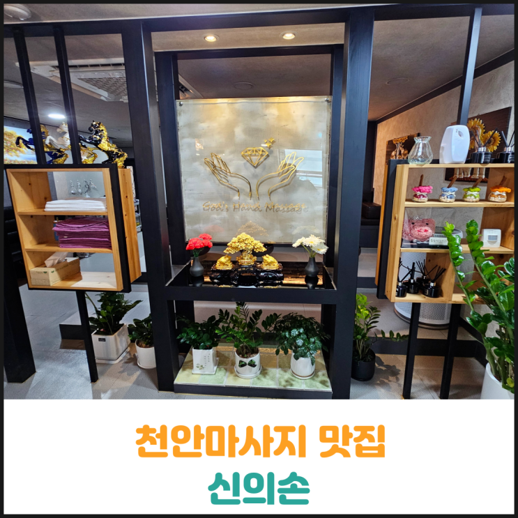  천안마사지 맛집 신의손 후기