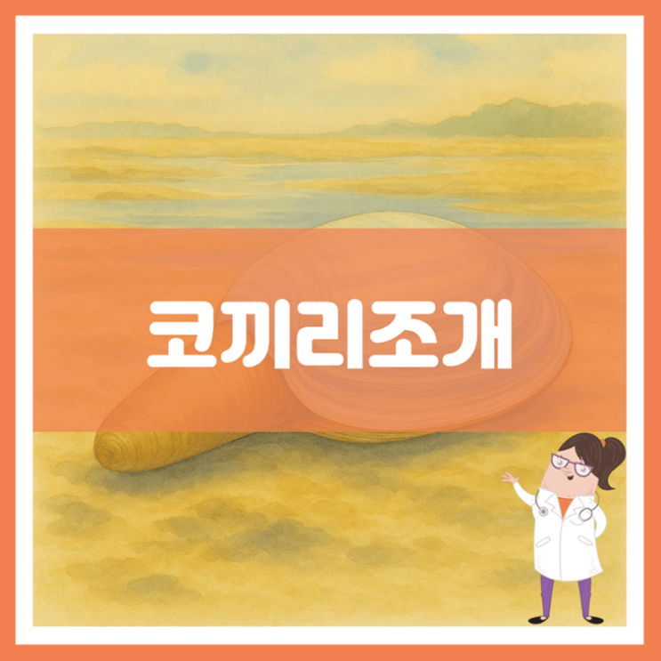  코끼리조개 효능 부작용 먹는 방법