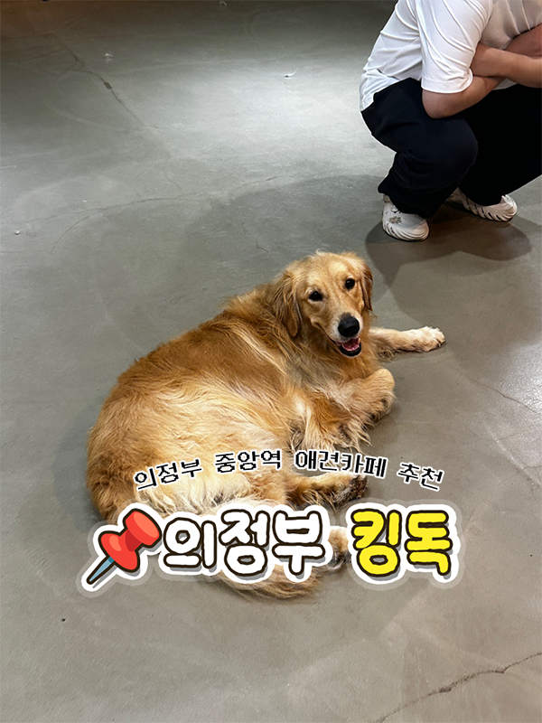 사진 7