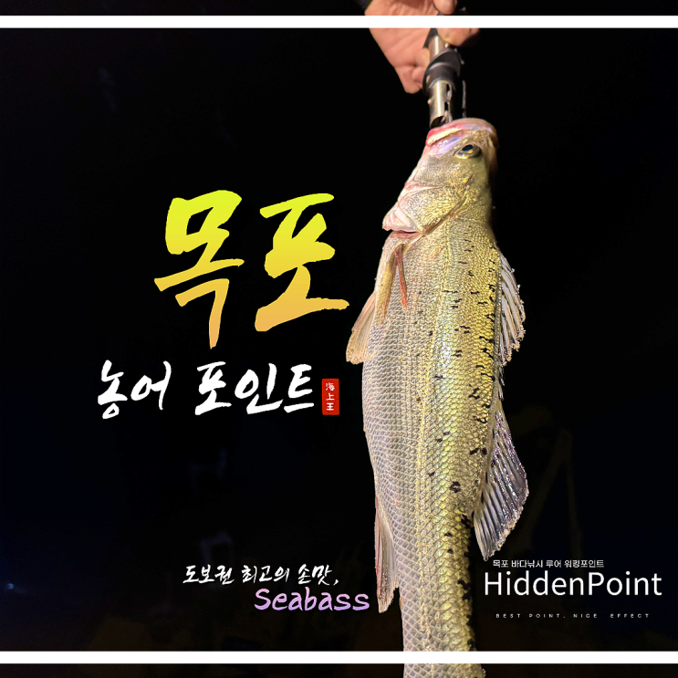  목포 바다 루어낚시 농어 감성돔 워킹 현지인 비밀 포인트