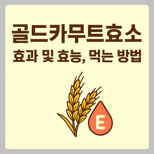 골드카무트효소 – 효과와 효능, 올바른 먹는 방법, 인기로 증명하는 원조의 품격