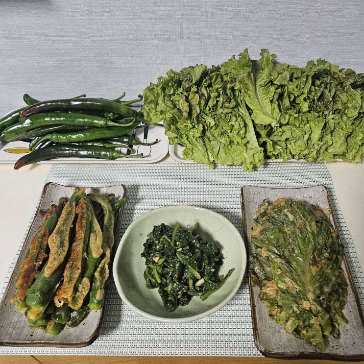  여름채소 상추소녀 맛있는 여름풋고추와 꽃상추