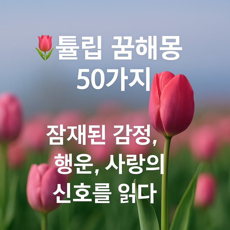  튤립 꿈해몽