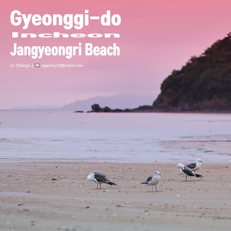  노을 명소 인천 장경리 해수욕장 가는 길부터 노을, 액티비티, 꿀팁등 정리