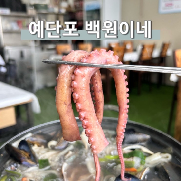  예단포 백원이네 해물칼국수 물회 영종도 토박이 원조맛집