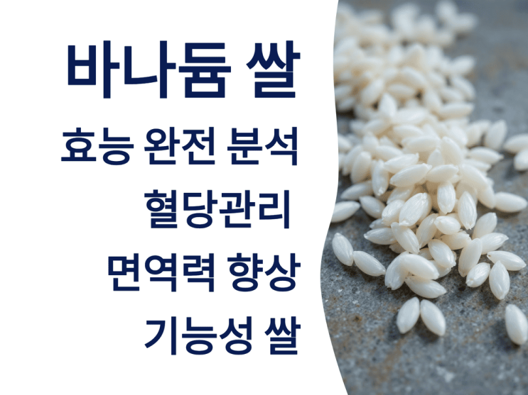  바나듐 쌀 효능 완전 분석 – 혈당관리 + 면역력 향상 기능성 쌀