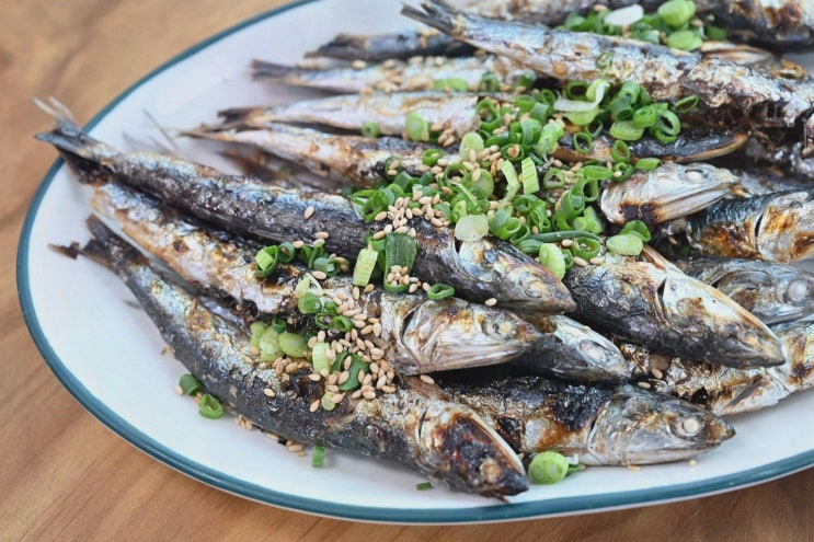  [맛집리뷰] 광진활어횟집 기장대변항, 해동용궁사맛집에서 경험한 멸치회