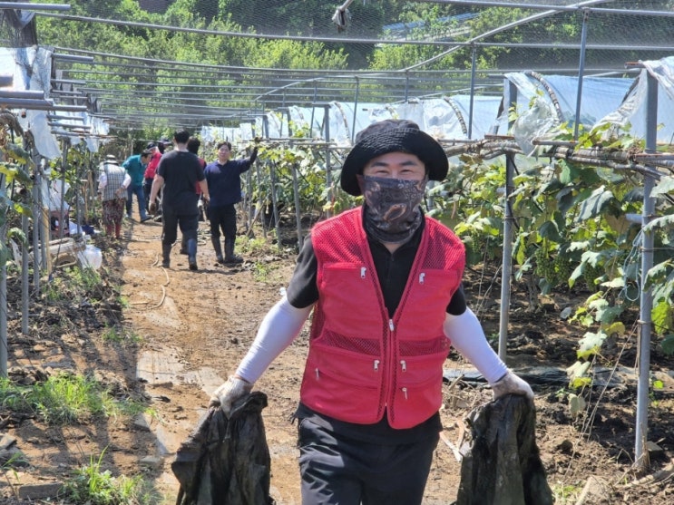  내촌면 마명리 수해복구 봉사활동