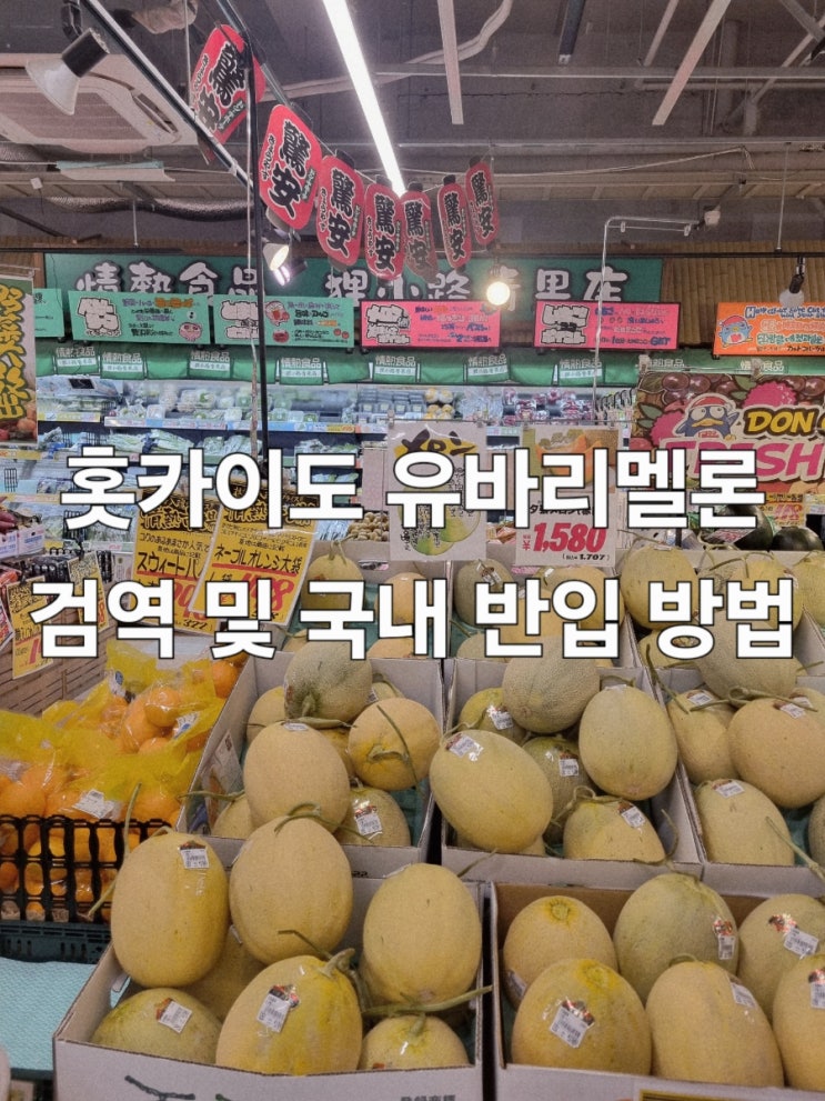 삿포로 멜론 <b>검역 절차</b>, 국내 반입 후기
