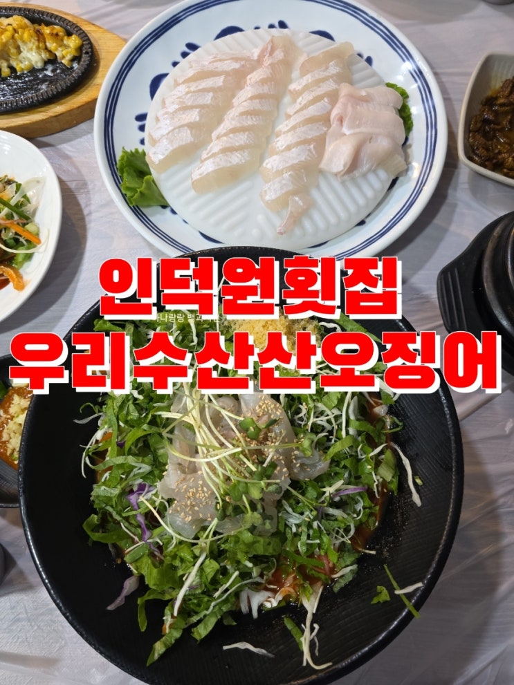  [경기 안양] 여름엔 광어와 물회 인덕원횟집 우리수산산오징어