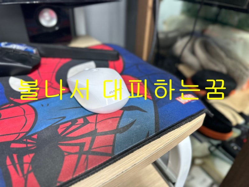 무서운 불나서 대피하는꿈 좋았어요