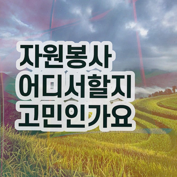  , 자원봉사지도사 자격증 합격한 전략 체크해보세요